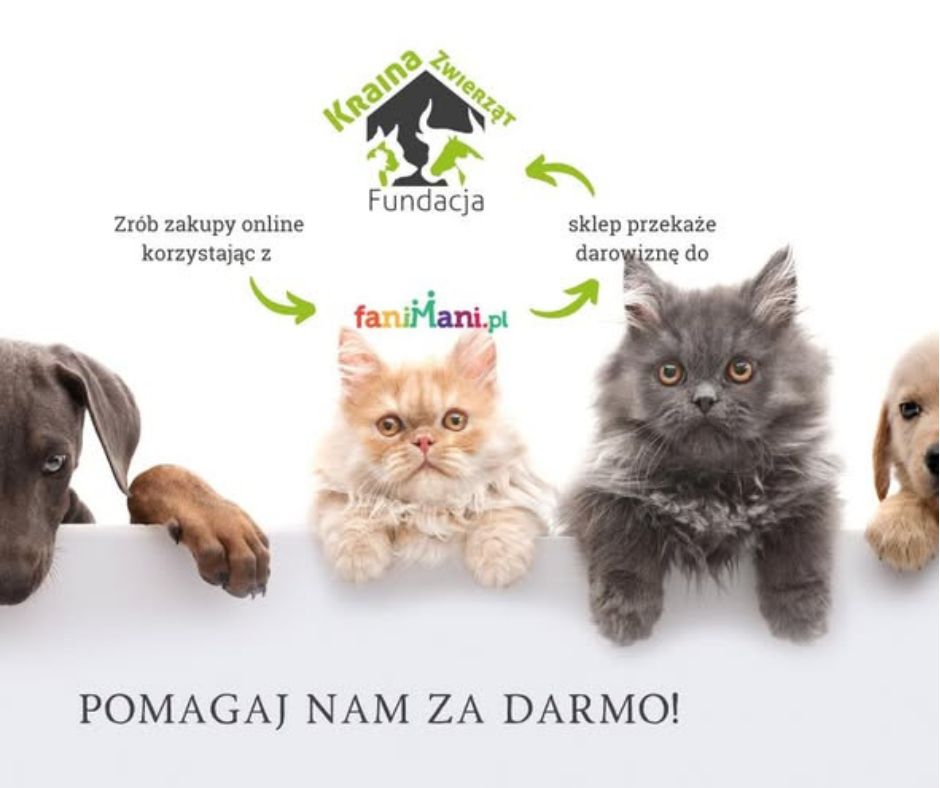 Aplikacja FaniMani.pl